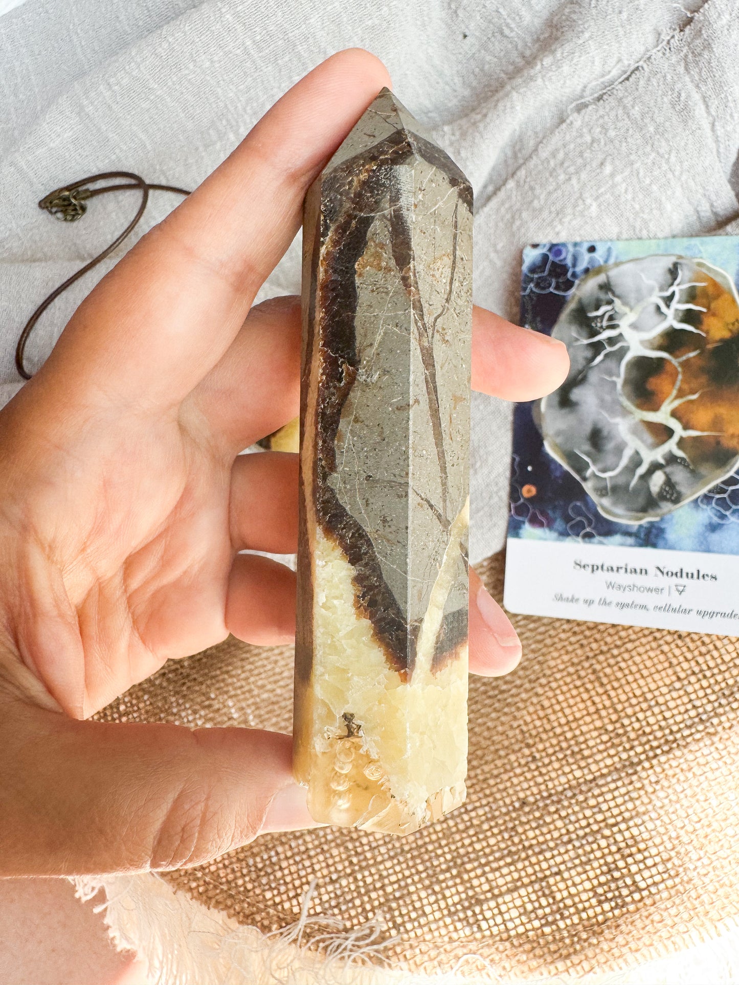 Gerador de Septariana