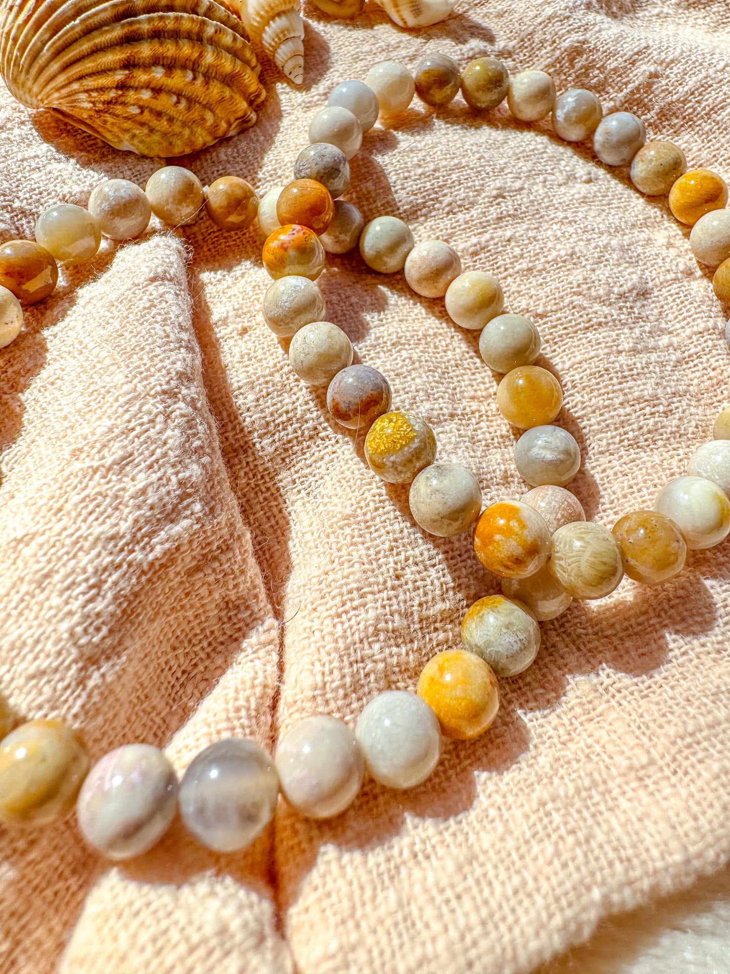 Coral 6mm